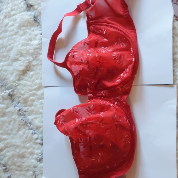 Panache Tango Red Bra 30k - Picture 3 of 6